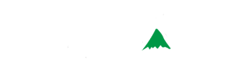 Faber Capital